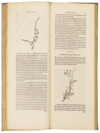 Museum Wormianum. Seu, Historia rerum rariorum tam naturalium, quam artificialium, tam domesticarum, quam exoticarum, quae Hafniae Danorum in aedibus authoris servantur.