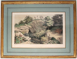 1. View of the Cave Facing the Lake, No. VIII 2.Source of the Spring in the Rample, No. XI