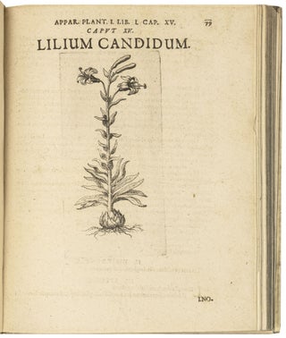 Apparatus plantarius primus in duos libros.
