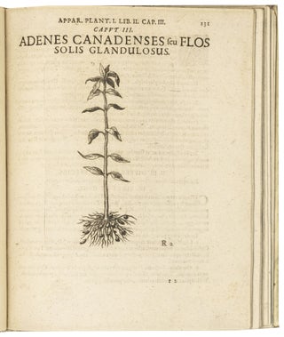 Apparatus plantarius primus in duos libros.