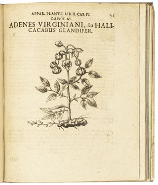 Apparatus plantarius primus in duos libros.