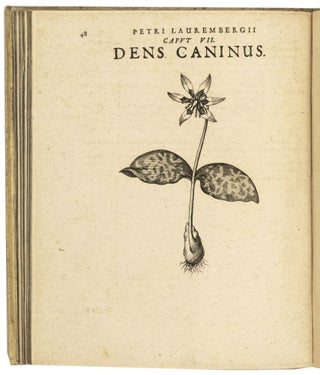 Apparatus plantarius primus in duos libros.