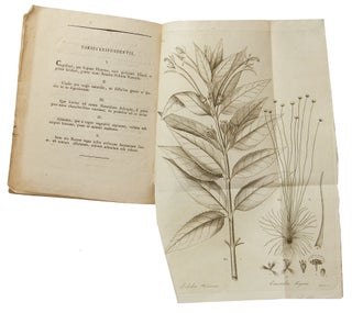 Plantarum brasiliensium. Decas Prima / Secunda / Tertia.