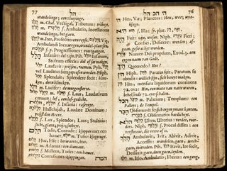1) Synopsis hebraica et chaldaica, continens praecepta ad notitiam linguae hebraeae et chaldaeae acquirendam perquam necessaria.
