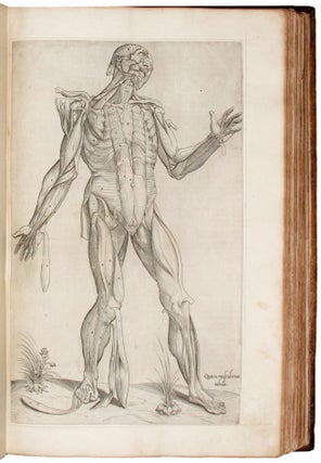 Les Portraicts anatomiques de toutes les parties du corps humain..