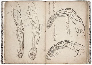 Item #5356 Anatomie Maler Studien. Adam BRENNER