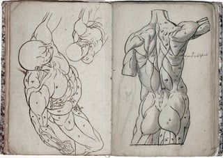 Anatomie Maler Studien.