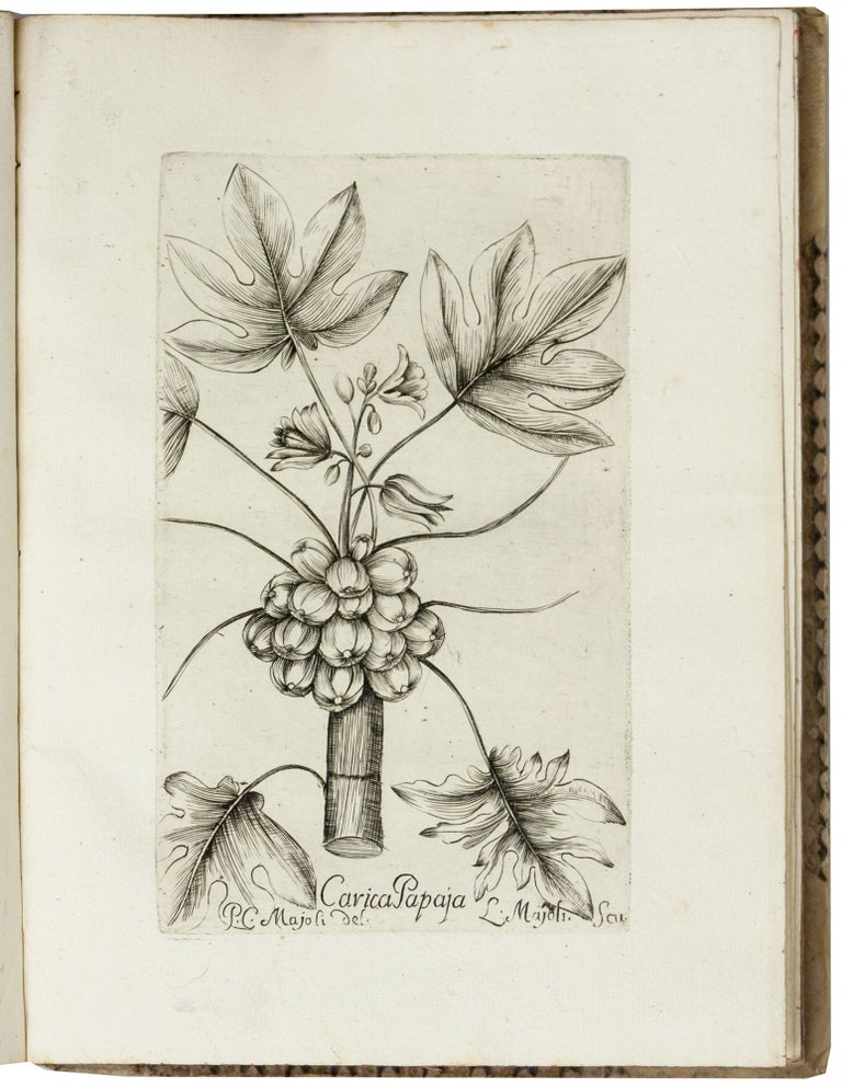 Item #6118 Osservazioni fitologiche sopra alcune piante esotiche introdotte in Roma fatte nell’anno 1788 [1789, 1790]. Filippo Luigi GILII, Gaspare XUAREZ.
