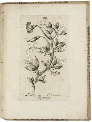 Osservazioni fitologiche sopra alcune piante esotiche introdotte in Roma fatte nell’anno 1788 [1789, 1790].