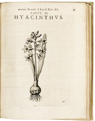 Item #694 Apparatus plantarius primus...in duos libros. I. De plantis bulbosis. II. De plantis...