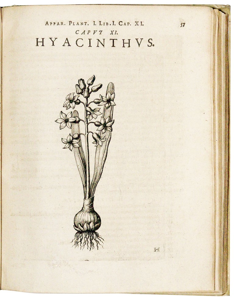 Item #694 Apparatus plantarius primus...in duos libros. I. De plantis bulbosis. II. De plantis tuberosis... Horticultura, libris II. Petrus LAUREMBERG.