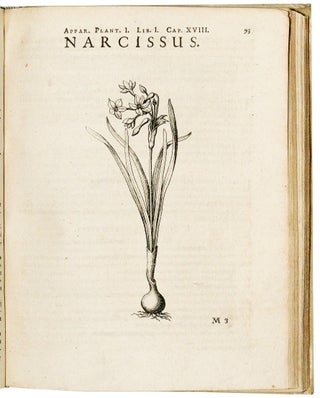 Apparatus plantarius primus...in duos libros. I. De plantis bulbosis. II. De plantis tuberosis... Horticultura, libris II