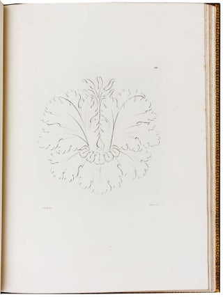 Corso elementare di ornamenti architettonici.