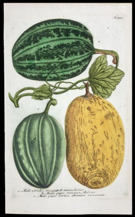 Melo vulgaris, Melon …[with] Melo viridis striatus et maculosus …